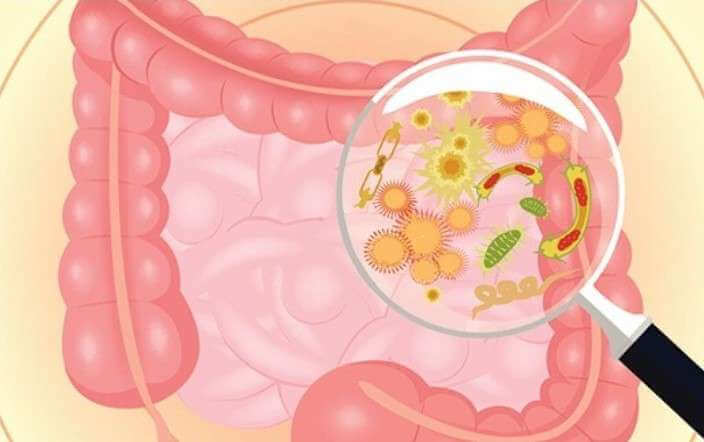 Herpes nasıl tanınır?