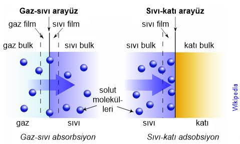 Absorpsiyon nedir kısaca