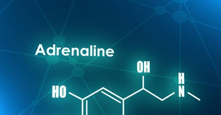 Adrenalin nedir kısaca