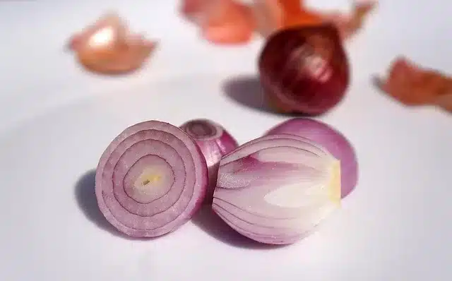 Taze soğanlar cildiniz için sağlıklı olabilir! Faydalarını ve nasıl kullanılacağını öğrenin