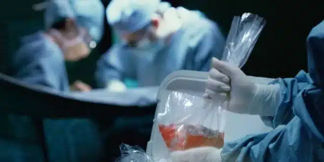 Organ bağışında yeni dönem! Hedef, bekleme listelerini bitirmek