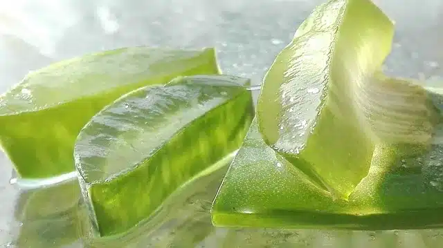 Daha sağlıklı saçlar için kendin yap Aloe Veralı durulanmayan saç kremi
