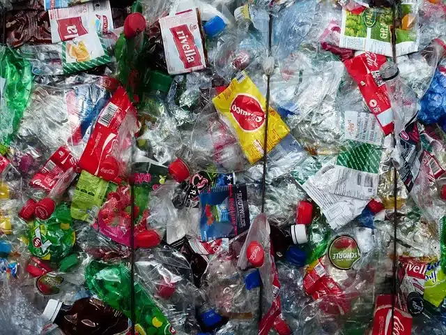 Siyah plastik gıda kapları kansere neden olabilir mi? Gerçekleri öğrenin!