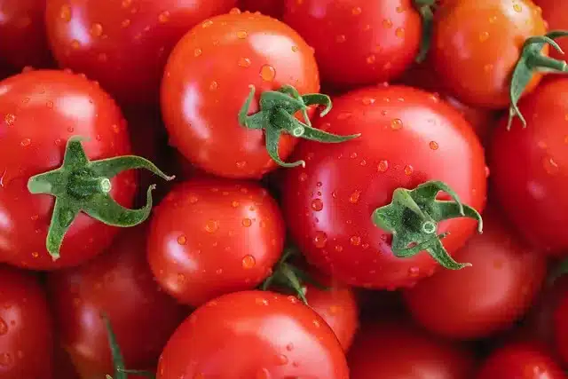 Çok fazla domates yemek taş yapar mı?