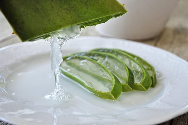 Aloe vera: Cilt ve saç için şifalı bir bitki