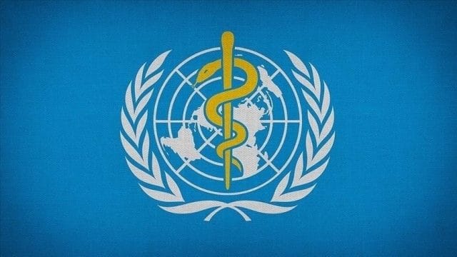 DSÖ’den hamilelikte parasetamol kullanımına dair önemli açıklama: Bilimsel kanıt yok