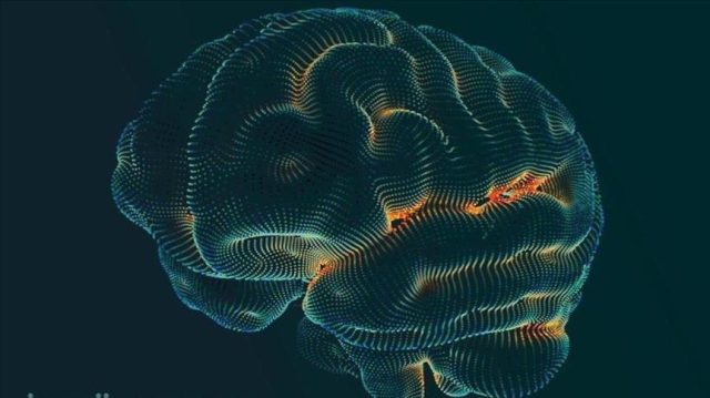 EEG raporunda “Paroksismal aktivite – Temporal sağda sivri noktalar” ne anlama geliyor?