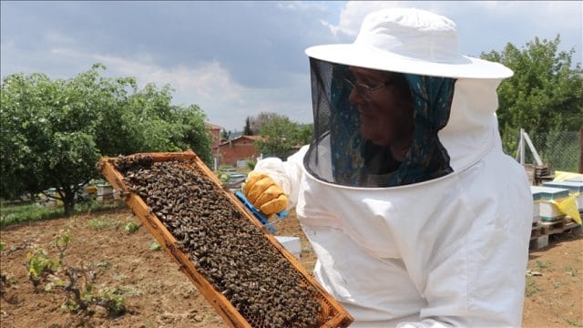 Apiterapi otoimmün hastalıkların tedavisinde umut oluyor