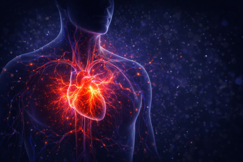 Ani çarpıntı hissi ne zaman normal olmayabilir? | KlinikSağlık